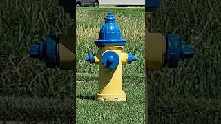 The Secret Code of Fire Hydrants 💦