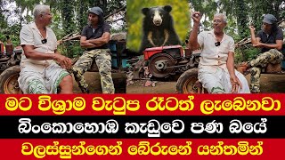 මට විශ්‍රාම වැටුප රෑටත් ලැබෙනවා | බිංකොහොඹ කැඩුවෙ පණ බයේ | වලස්සුන්ගෙන් බේරුනේ යන්තමින්