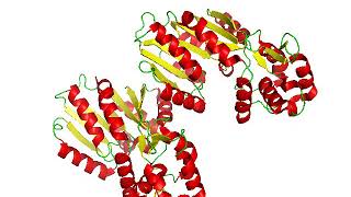 Histamine N-methyltransferase | Wikipedia audio article