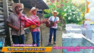 Trio Suspiro Huasteco en Maguey Maguaquite Chicontepec 2021
