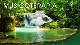 Musica Relaxante Acalmar A Mente E Relaxar