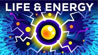 Why Are You Alive – Life, Energy & ATP