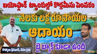 బయోఫ్లాక్ ట్యాకుల్లో కొర్రమీను పెంపకం | biofloc fish plants