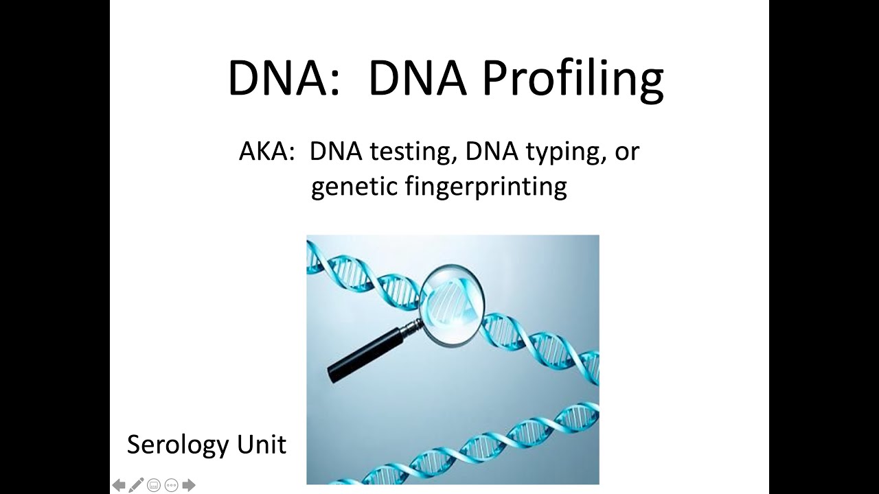 Dna Profiling And Forensic Science Answers