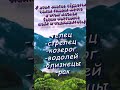 Что вечно не даёт покоя знакам зодиака tocrush astrology астрология знакизодиака