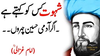 IMAM GHAZALI | Best Rohaani Quotes | Shehwat Kis Ko Kehty Hain- Inspirational Quotes by AL-Ghazali