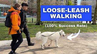 Train ANY Dog to Walk on a Loose Leash (Stop Leash Pulling)