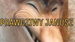 PRAWDZIWYM JANUSZEM BYĆ! |Janusz Simulator