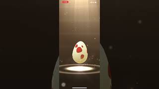 ポケモンGO❗️12kmたまご🥚2連割り〜😅バルチャ〜イ