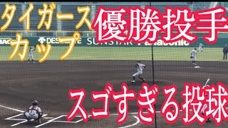 長身から放たれる豪速球　タイガースカップ優勝投手