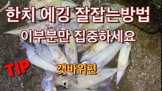 한치에깅 어렵지 않아요! (사소한 습관이 그날의 조과를 좌우한다.) 초보자분들도 쉽게 잡을수있는 팁대방출 /갯바위편/워킹루어/에깅/한치