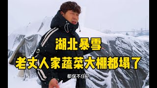 湖北暴雪冰冻天气，武汉郊区蔬菜大棚都塌了，老丈人大棚损失几十万