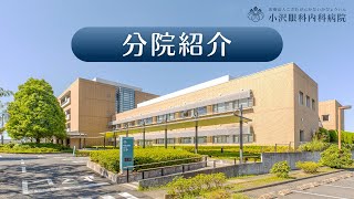 小沢眼科内科病院 茨城県 水戸市 眼科 　分院紹介