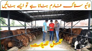 Feedlot Fattening Farm Management|Mechanised livestock farming|Meat farm|کمرشل لائیو سٹاک فارم کا