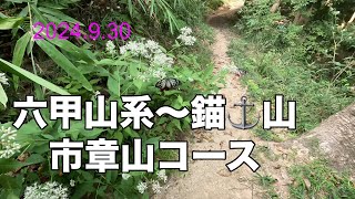 六甲山系～錨⚓山・市章山コース（アサギマダラ？、楽しい登山47）2024.9.30。