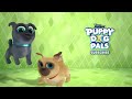 Puppies Go to the Moon! 🌙  Puppy Dog Pals  Disney Junior