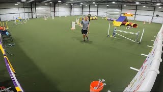 Nitro, AKC Agility League Spring 2023; International/PhD Round 3