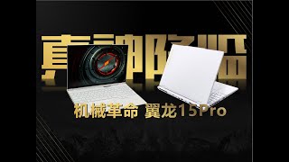 【逆狱非商单】鸡哥の成王之志！——机械革命 翼龙15Pro 评测！