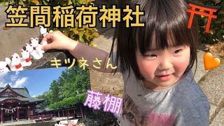 【笠間稲荷神社】に藤棚を見に行ったら、キツネさんを手に入れた3歳