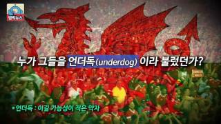 유로2016 언더독의 반란