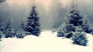 Winter Megamix (Chillout/Deep House/ \u0026 Others