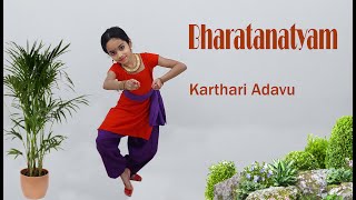 Karthari Adavu||Kartharee Adavu||Bharatanatyam||Bharatanatyam Adavu||Sreya n Swetha Vlogs||