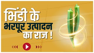 जमकर मुनाफा देने वाली भिंडी। भिंडी की बेस्ट किस्म || Top Class Okra Seed || Janaki Okra, AgroStar