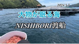 #13 初のNISHIBORI渡船さん！　大物目指して、父と釣行‼︎