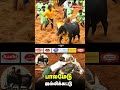 மாடுபிடி வீரர்களை தெறிக்க விட்ட காளைகள் palamedu jallikattu