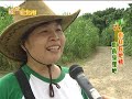 【綻放新北市07】樹林在地情 鹿角溪溼地