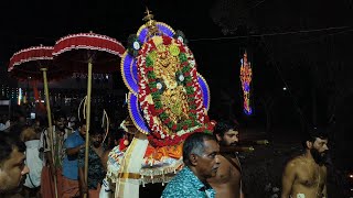 ചെറുപ്പുഴക്കാട്ട് ദേവിയുടെ ആറാട്ട് ഘോഷയാത്രയും വിളക്കാട്ടവും | Cheruppuzhakkattu Devi Temple 2025