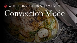 Wolf Convection Steam Oven (touch controls) - Convection Mode