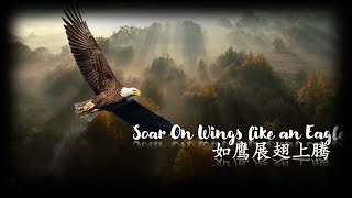 🦅如鹰展翅上腾🦅 伴奏 Soar On Wings like an Eagle cover music