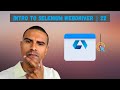 How to scroll an element into view in Selenium