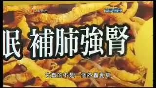 時事追擊2011：健康食品1