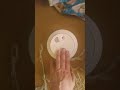 test of a family gard smoke detector