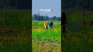 গ্রামের মনোরম পরিবেশ 🌼🌿 #minivlog #photography #shortvideo #viralshort