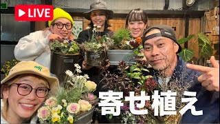 【LIVEイベント④】ブロカント風に大人の寄せ植え　#ガーデニング#寄せ植え#葉牡丹#ビオラ