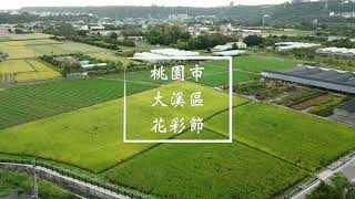 2020桃園花彩節大溪場