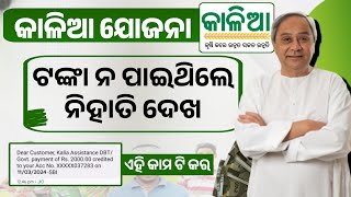 କାଳିଆ ଯୋଜନା ଟଙ୍କା ନ ପାଇଥିଲେ ଦେଖ Kalia Yojana Money Not Recived | Kalia Yojana New Update Today 2024