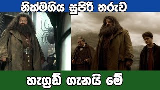 හැරිපොටර් බලපු ඔයාලට මෙයාව මතකද|Harry Potter Hagrid dead #sinhala #warthamana #robbie_coltrane