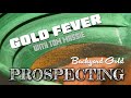 Gold Fever: Backyard Prospecting