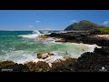 makapuu beach tide pool 🌈 waimanalo ⛱️ makapuu point lookout 🏖️ east oahu 🌴 hawaii 4k