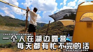 [Solo Camp]湖边露营二十多天，吃睡都在帐篷里，这样的日子你过得来吗？【半面男】