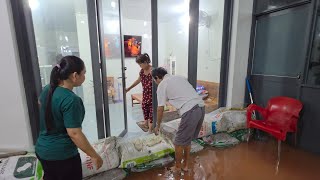 Vùng Quê Yên Bình Tự Dưng Chìm Trong Nước Trải Nghiệm Mùa Nước Nổi Giăng Lưới Bắt Cá Cua Đồng