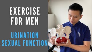 Pelvic Floor / Kegel Exercise For Men - Improve Urinary Incontinence & Erectile Dysfunction
