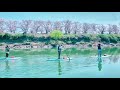 京都 背割堤 お花見sup 2021 kyoto sup trip