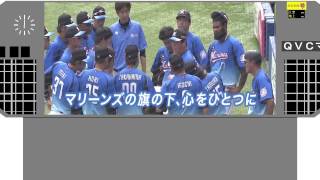 【パワプロ2016】6/12 千葉ロッテVS東京ヤクルト【ペナント】