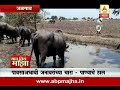 gaon tithe majha 7pm jalgaon no rainfall 24 06 2016