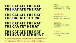 The Genetic Code and Mutations